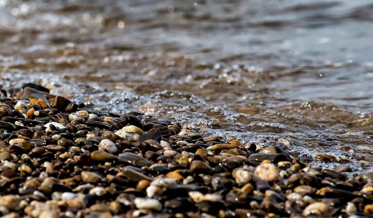 Voda na plaži Topoljar bakteriološki neispravna – NIJE dobra za kupanje